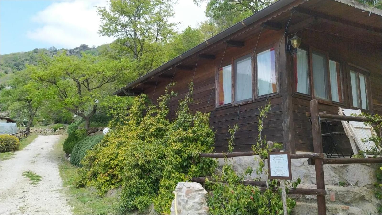 Azienda Agricola Biologica La Cardellina Tolfa エクステリア 写真