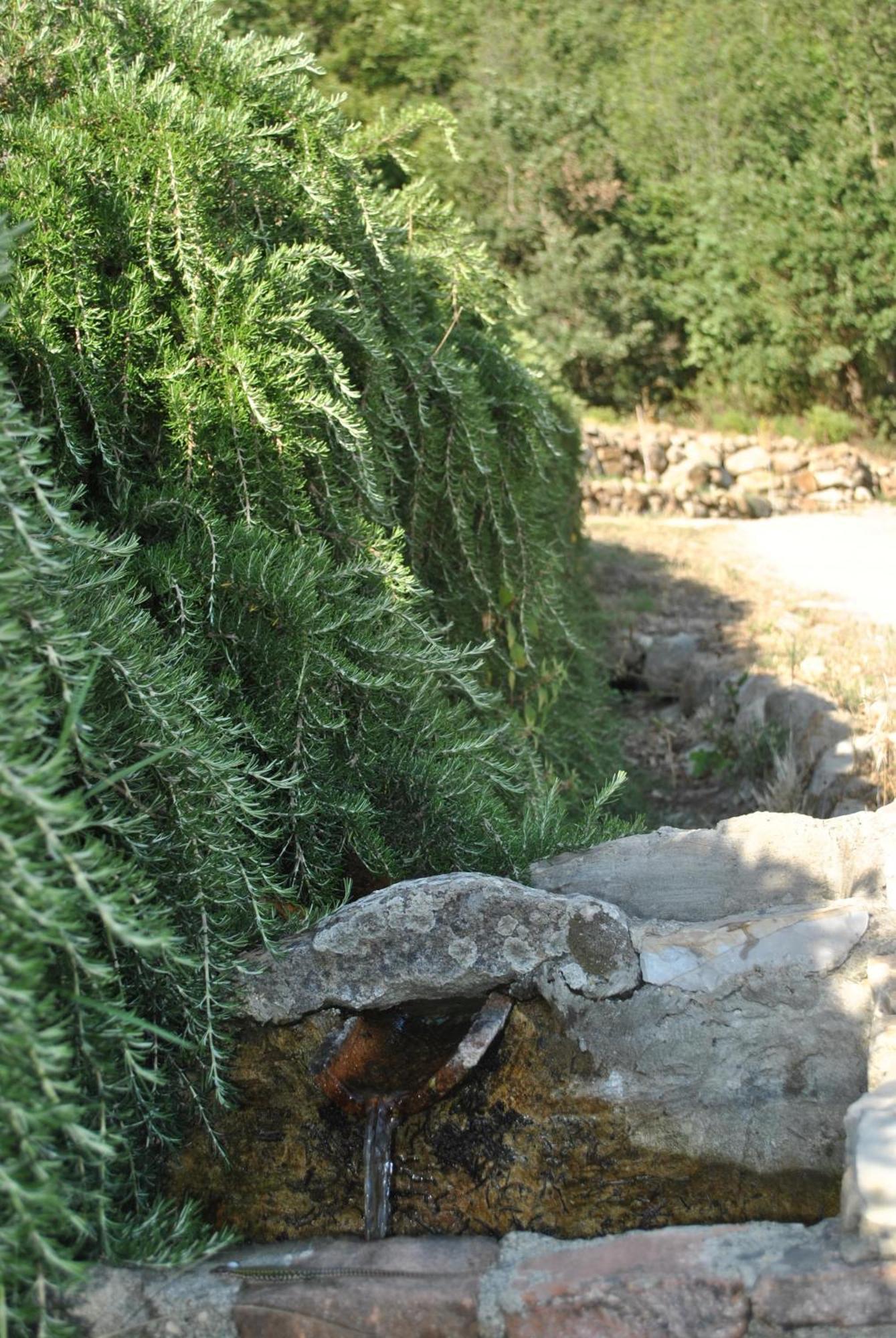 Azienda Agricola Biologica La Cardellina Tolfa エクステリア 写真