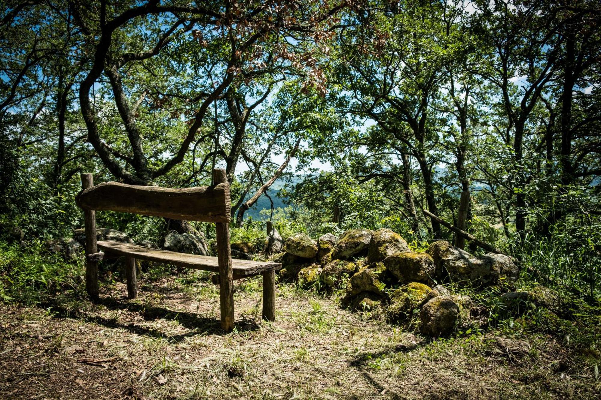 Azienda Agricola Biologica La Cardellina Tolfa エクステリア 写真