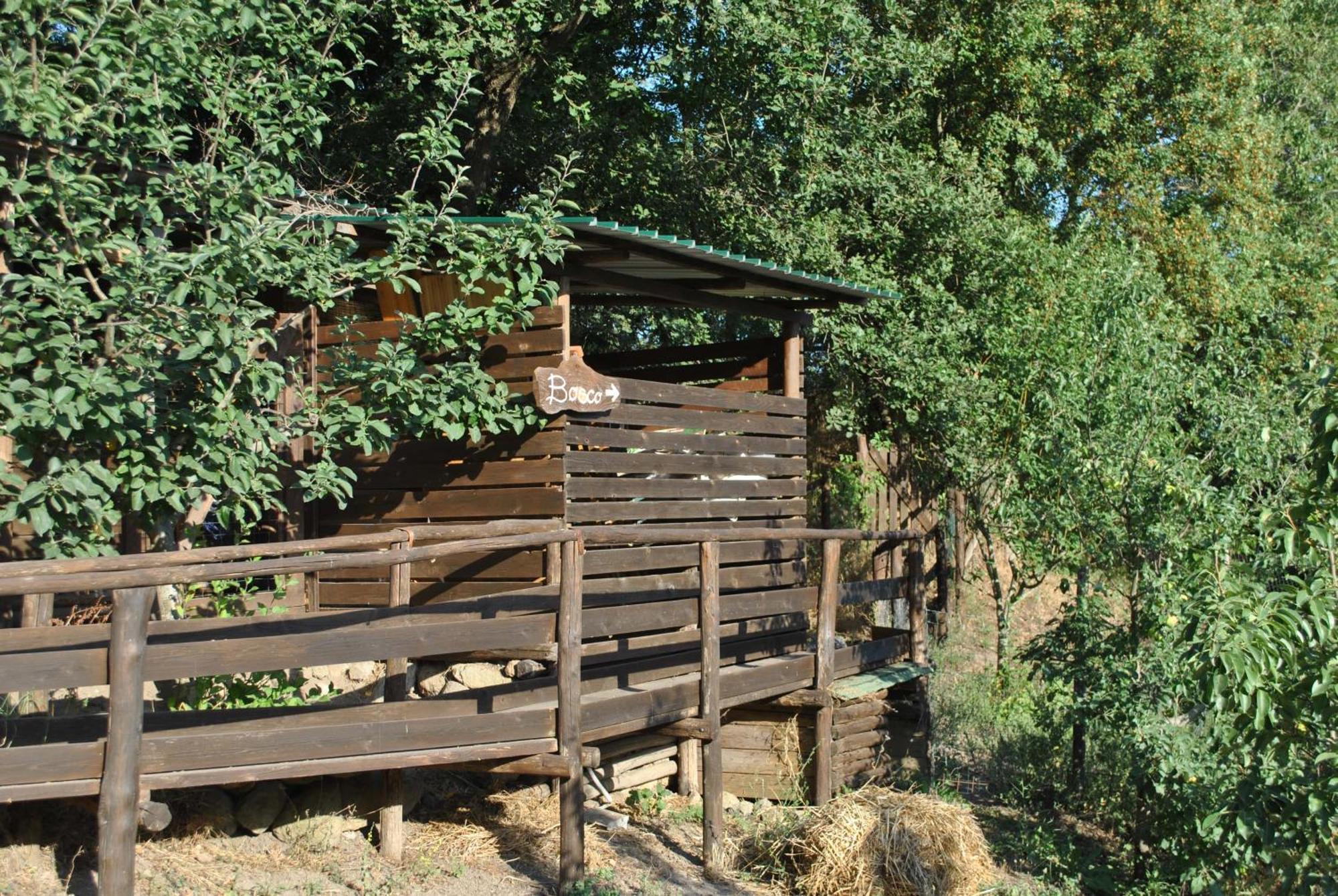 Azienda Agricola Biologica La Cardellina Tolfa エクステリア 写真